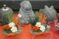 Tuincentrum SECO Katteneten