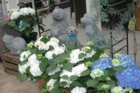 Tuincentrum SECO Katteneten