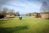 Tuinen Joos bvba Tuinarchitectuur