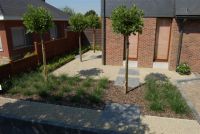 Cams Gardens Tuinarchitectuur Tuinarchitectuur