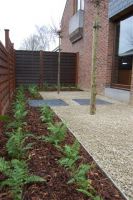 Cams Gardens Tuinarchitectuur Tuinarchitectuur