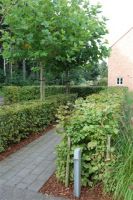 Cams Gardens Tuinarchitectuur Tuinarchitectuur