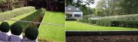 Tuinarchitect Yves Brasseur Tuinarchitectuur