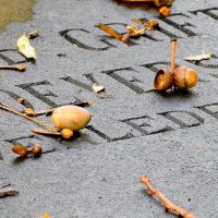 Vergroot foto