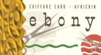 Ebony - Coiffure Euro - Africain Extensions