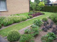 Buitenhuis bvba Beplanting