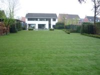 Buitenhuis bvba Beplanting
