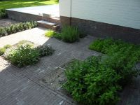 Buitenhuis bvba - Vanhollebeke Frederik - Tuinondernemingen Geluid