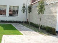 Buitenhuis bvba - Vanhollebeke Frederik - Tuinondernemingen Geluid