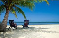 Reizen De Morgenster Citytrips