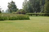 Vergroot foto