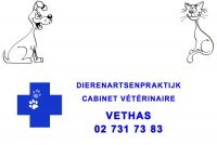 Dierenartsenpraktijk Vethas Gedragsproblemen
