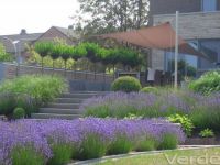 Verd&eacute; Tuinarchitectuur Tuinarchitectuur
