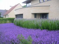 Boddez Karel Siertuinen bvba Tuinarchitectuur
