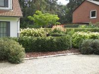 Vergroot foto