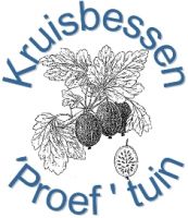 Kruisbessen Proeftuin Bessen