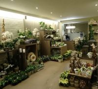 Davy Crucke bvba Tuinarchitectuur
