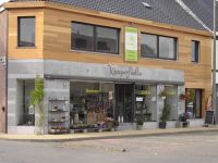Kamperfoelie