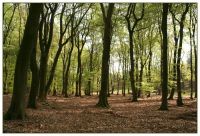 Het Jagershof Bvba KG Rouwmaaltijden
