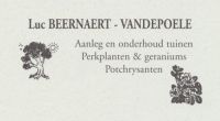 Luc Beernaert - Vandepoele Chrysanten