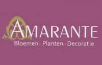 Amarante Veiligheid