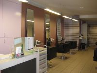 Coiffure Jeveux Brushing