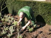 Tuinwerken Polfliet-Bryssinck nv Totaalprojecten