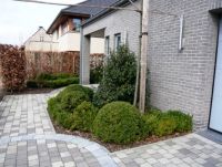 Tuinwerken Polfliet-Bryssinck nv Totaalprojecten