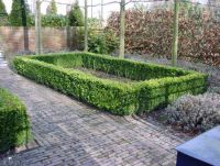 Tuinwerken Janssen Bart Beregening