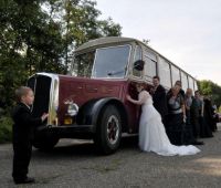 De Blauwvoet Minibussen
