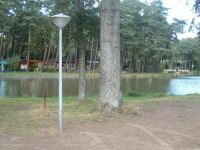 Dennenbad nv Wandelen