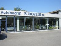 Euroster Directiewagens