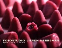 Fotostudio Lieven Herreman High