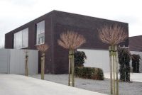 Algemene Bouwwerken Vleugels bvba