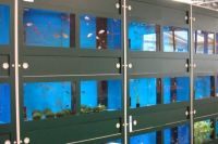 Aveve tuincentrum Dier