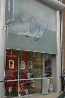 Optiek Segers Prada