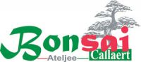 Bonsai Ateljee Japan