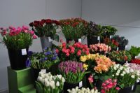 Bloemen en Planten Van der Cruys Christiane Bruidswerk