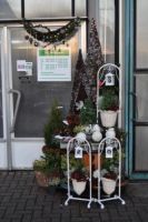 Bloemen en Planten Van der Cruys Christiane Bruidswerk