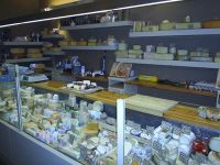 Domus Casei Italiaanse specialiteiten