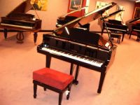 Piano's Driesen bvba Piano