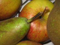 Boerken ('t ) Groenten en Fruit Groenten