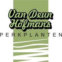 Perkplanten Van Deun - Hofmans bvba Terrasplanten
