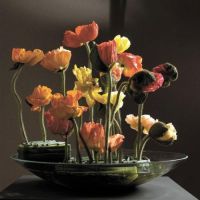 Stef Adriaenssens Bloemschikken