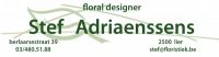 Stef Adriaenssens Bloemschikken