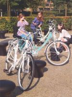 Fietsen Karel Craenhals Fietsaccesoires