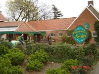 Bloembinderij Oxalis Planten