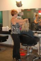 Singles Hair bvba Tigi
