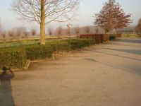Vergroot foto