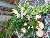 Bloemen Sandy